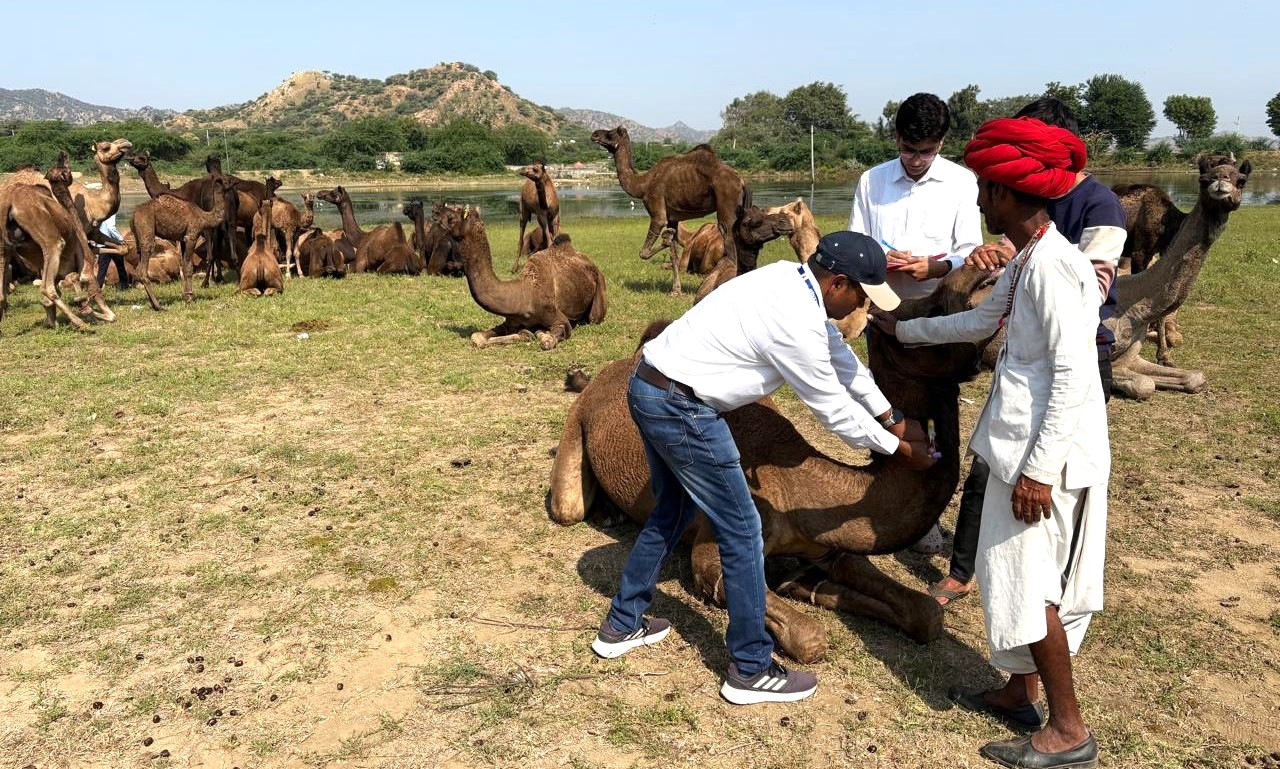 एनआरसीसी बीकानेर ने मनाया राष्ट्रीय महिला किसान दिवस