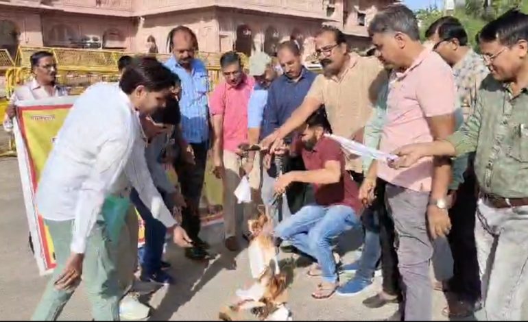 कर्मचारियों ने एनपीएस आदेशों की होली जलाकर जताया विरोध जताया