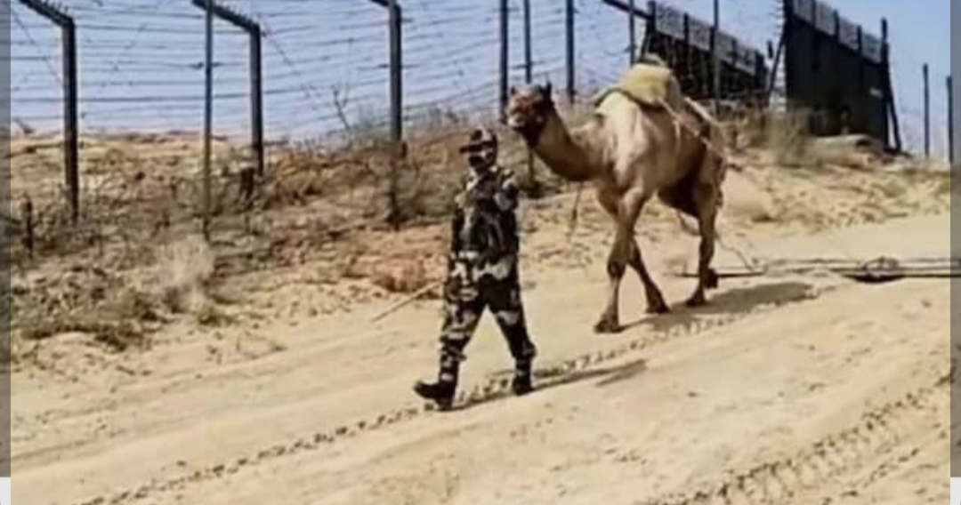 बॉर्डर पर नशे के खिलाफ बड़ी कार्रवाई, गांजा, स्मैक व हथियार समेत आरोपी गिरफ्तार