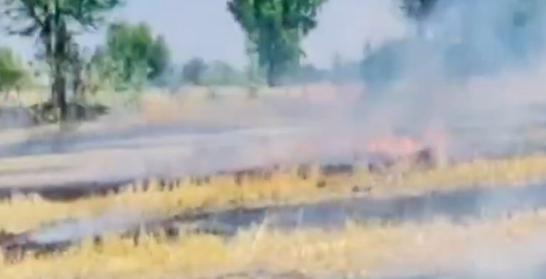शॉर्ट सर्किट से खेत में लगी आग, ग्रामीणों ने कड़ी मशक्कत से बचाई फसल