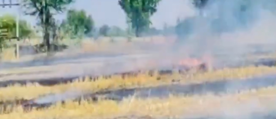 शॉर्ट सर्किट से खेत में लगी आग, ग्रामीणों ने कड़ी मशक्कत से बचाई फसल