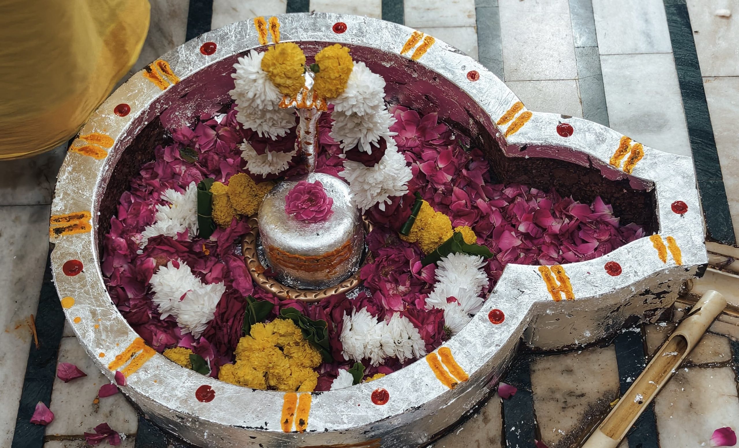 सर्वऔषधियों से हुआ नहर सिंह महादेव का अभिषेक, महाआरती में उमड़े श्रद्धालु