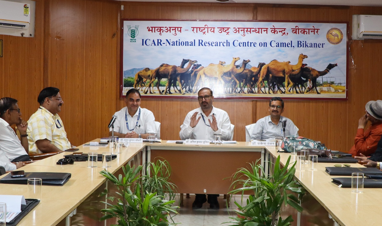 ऊंट के स्टेम सेल से होगा थनैला रोग का इलाज!, एंटीबायोटिक-मुक्त उपचार की दिशा में एनआरसीसी का बड़ा कदम