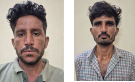 बीकानेर में ‘भैंस चोर’ गैंग का खुलासा, 10 लाख की 7 भैंसें बरामद, दो आरोपी गिरफ्तार